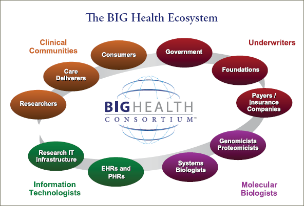 big health ecosystem